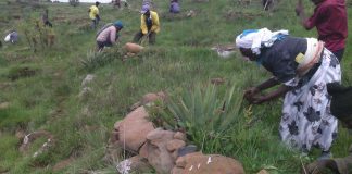 Suomen Lähetysseura vähentää hiilijalanjälkeään