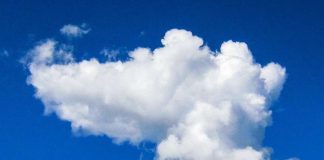 Kuka palkitaan kirkon ympäristökasvattajana?