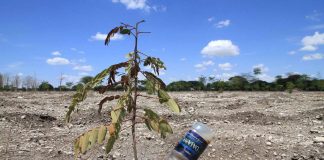 Uudenlainen kehityspolitiikka voi lisätä epätasa-arvoa