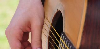 Kolumni: Pudokkaista tulokkaita