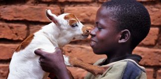 Kirkon Ulkomaanapu laajentaa toimintaansa – uusi yritys lainaa rahaa kehitysmaihin