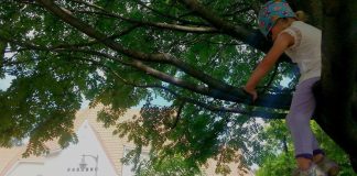 Parasta tiekirkossa -kilpailun kuvasatoa