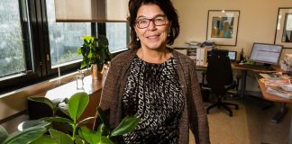 Silja Paavola: ”Ammattitaitoa ei voi korvata hoitotyössä”