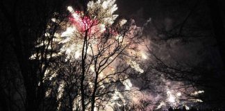 Kommentti: Eläköön 100-vuotias, joka hukkasi kännykkänsä!