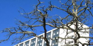 Kansalaisaloite kerää nimiä saattohoitovapaan puolesta