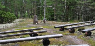 Kolumni: Luomiskertomuksen ”viljellä ja varjella”
ei saa olla uusi lähetyskäsky