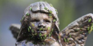 Jumalanpilkka halutaan pois rikoslaista – kansalaisaloite vireillä