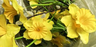 Muovikukat alttarilla herättävät tunteita Siikalatvalla – ”Vain välivaihe ennen suurempia muutoksia”