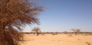 Kirkon Ulkomaanapu: Etelä-Sudaniin ja Somaliaan tarvitaan kiireesti hätäapua