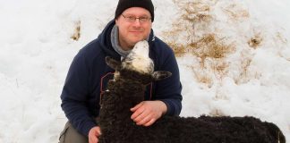 Antisemitismin tutkija: Juutalaisvastaisuus ei ole vain menneisyyden ilmiö