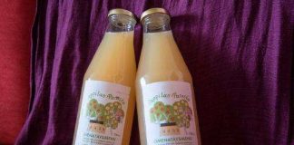 Tehdäänkö Vantaalla Pappilan Parasta siideriä tai olutta? – Toistaiseksi vain omenamehua