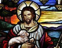 Tutkija: Sanasta lähetys pitäisi luopua