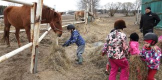 Kangasalan seurakunta lahjoittaa satoja tunteja hyväntekeväisyyteen – haastaa yritykset mukaan