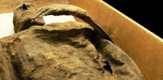 Väitös: Muumioitunut kirkkoherra todistaa papiston hyvästä asemasta 1500–1600-luvuilla