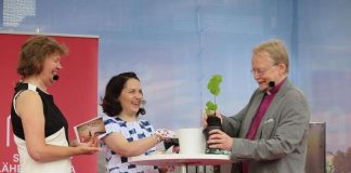 Arkkipiispa Mäkinen: Vastuumme on tehdä ilmastonmuutoksen estämiseksi kaikki mahdollinen