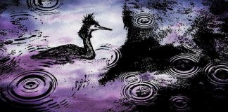 Essee: Hoivaava hiljaisuus on kansallisaarteemme – vaitiolon hetket ovat mielentiloja