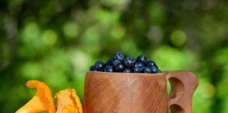 Viisi ajatusta sadonkorjuusta – syvenevä kesä vie pohtimaan omien valintojen hedelmiä