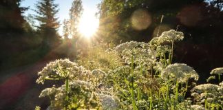 Pääkirjoitus: Ei puhetta synnytystalkoista vaan tekoja perheiden ja kotoutumisen hyväksi