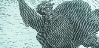 Kyselytutkimus: Valtaosa ateisteista uskoo virheellisesti kristittyjen kiistävän evoluutioteorian