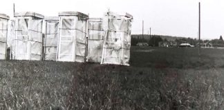 Mysteerikuva: Mitä nämä ovat?