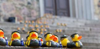 Turku viettää reformaatioviikkoa – viisisataa Luther-ankkaa karkuteillä eri puolilla kaupunkia