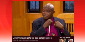 Englantilainen piispa puki papinpannan kymmenen vuoden jälkeen – syynä Mugaben ero