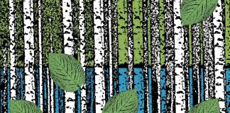 Tätä kaikkea Suomi on minulle – Suomen itsenäisyyttä juhliva ruotsalaispiispa kirjoitti esseen