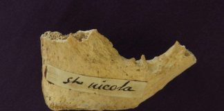 Pyhän Nikolauksen luunkappaleeksi epäilty pyhäinjäännös ajoitettiin 300-luvulle