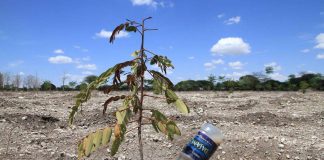 Kansalaisjärjestöt saivat tukea kehitysyhteistyöhön 206 miljoonaa euroa – suurimmat summat kirkollisille toimijoille