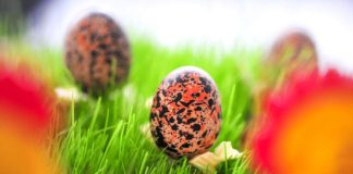 Pääsiäiskirkot tarjoavat lapsille laulua ja toimintaa – ”Kumpihan sieltä pomppaa, Jeesus vai Jumala”