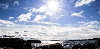 Tv-jumalanpalvelus merellä ja metsässä – Reissukirkko kuljettaa katsojan keskelle luonnon pyhyyttä