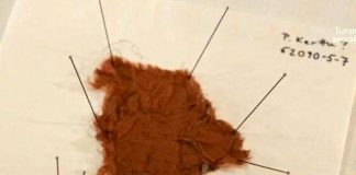 Turun tuomiokirkon näyttelyssä ovat esillä Pyhän Kertun pyhäinjäännös ja Getsemanen kivet