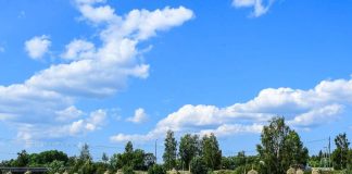 ”Päivisin minua vaivasi helle” – Raamatussa helle ei helli vaan kärventää