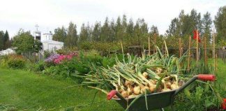 Piispat huolissaan kaivoshankkeesta Heinävedellä – ”Ihminen ei ole luomakunnan herra”