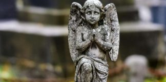 Kaikille niille, joiden veli on kuollut