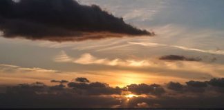 Pääkirjoitus: Hätähuuto eläinten puolesta