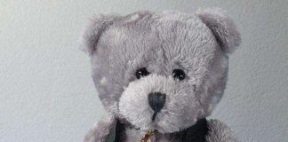 Seinäjoen seurakunta järjesti sunnuntaina myös nallevaalit – voittajaksi Kassu 216 äänellä