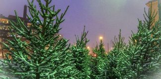 Joulurauhaa verkkoon ja koko maailmaan