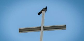 Kirkkoon kuuluu nyt alle 70 prosenttia suomalaisista – kasteiden määrä laski syntyvyyttä enemmän