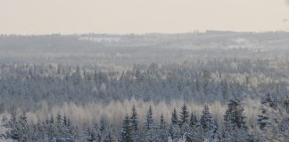 Näkökulma: Jos kirkko naisistuu liikaa, miehet lähtevät metsään
