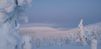 ”Jaamme surumme täällä saman taivaan alla” — Muonion seurakunta ja kunta järjestävät suruhartauden Pallastunturilla