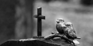 Muistokirjoitus: Risto Lehtonen 1926–2024 Risti ja kaksi pientä oksalla istuvaa kivilintua hautakivellä.