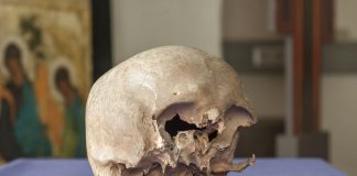 Sata vuotta sitten Turun tuomiokirkosta löytyi kallo, joka saattaa kuulua piispa Henrikille