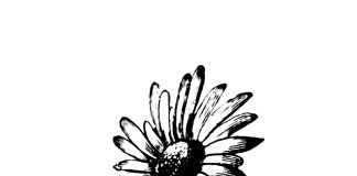 Tuhat merkkiä taivaasta: Auringonkukkia lumisella pellolla