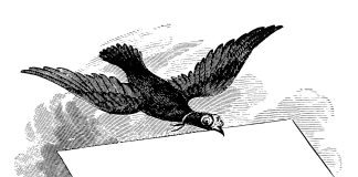 Tuhat merkkiä taivaasta: Tuntemattomalta lähettäjältä saapuneeseen korttiin oli tiivistetty paljon