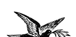 Tuhat merkkiä taivaasta: Katse puihin