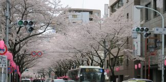 Sley etsii Japanissa uutta yhteistyökirkkoa, koska nykyinen JELC-kirkko koetaan liian liberaaliksi – Yksi lanka johtaa pappisvihkimykseen Pietarissa