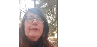 Päätoimittajalla on asiaa: Metsä siistiksi