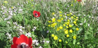 Sodan varjon ja ekumenian pääsiäinen Libanonissa – ei kovin kaukana täältä Jumala kerran herätti Poikansa kuolleista