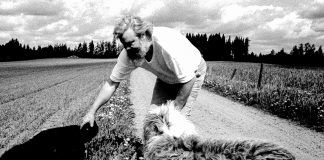 Mysteerikuva: Kuka käyskentelee pellon laidalla?